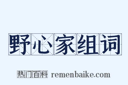 野心家组词是什么意思的图片
